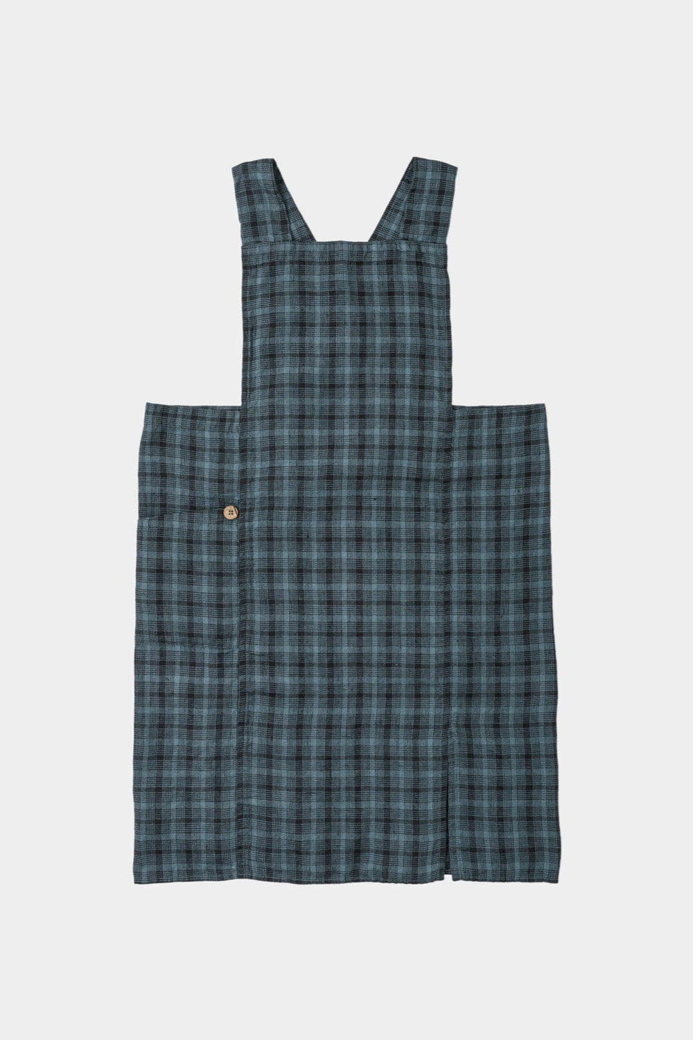 Anita Apron, Congres