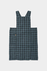 Anita Apron, Congres