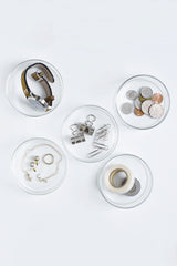 Schale Glass Case with Lid, Small, 100x55mm