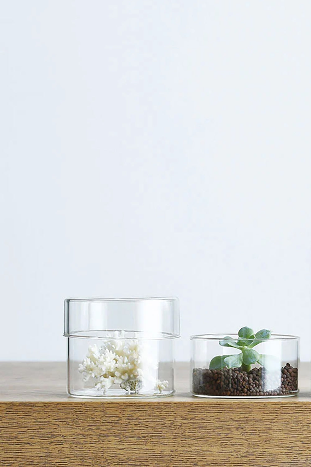 Schale Glass Case with Lid, Medium, 100x85mm