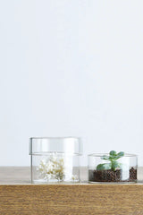 Schale Glass Case with Lid, Medium, 100x85mm