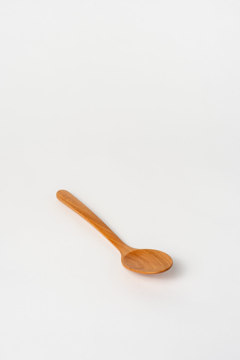 Curry Spoon