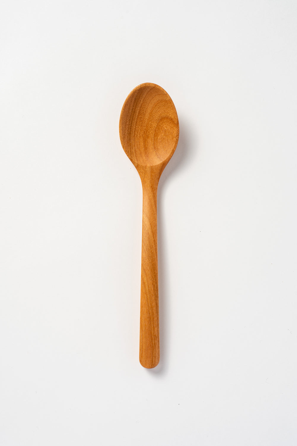 Curry Spoon