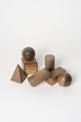 Set of Vintage Japanese Wooden Geometric Blocks