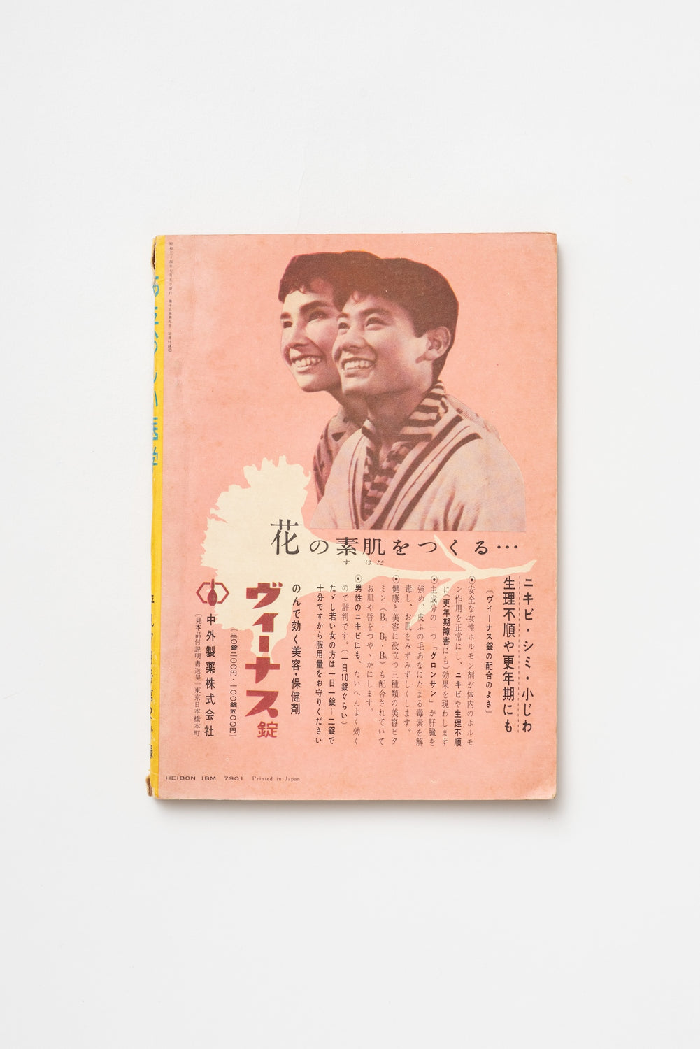 Vintage Japanese "New Medicine" Health Guide | Heibon Magazine Supplement | c. 1960