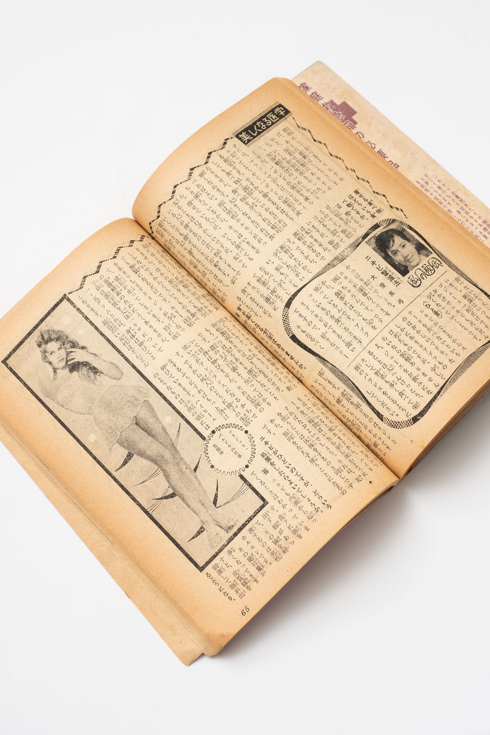 Vintage Japanese "New Medicine" Health Guide | Heibon Magazine Supplement | c. 1960