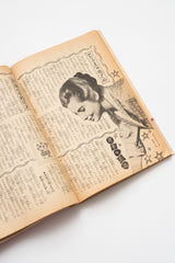Vintage Japanese "New Medicine" Health Guide | Heibon Magazine Supplement | c. 1960