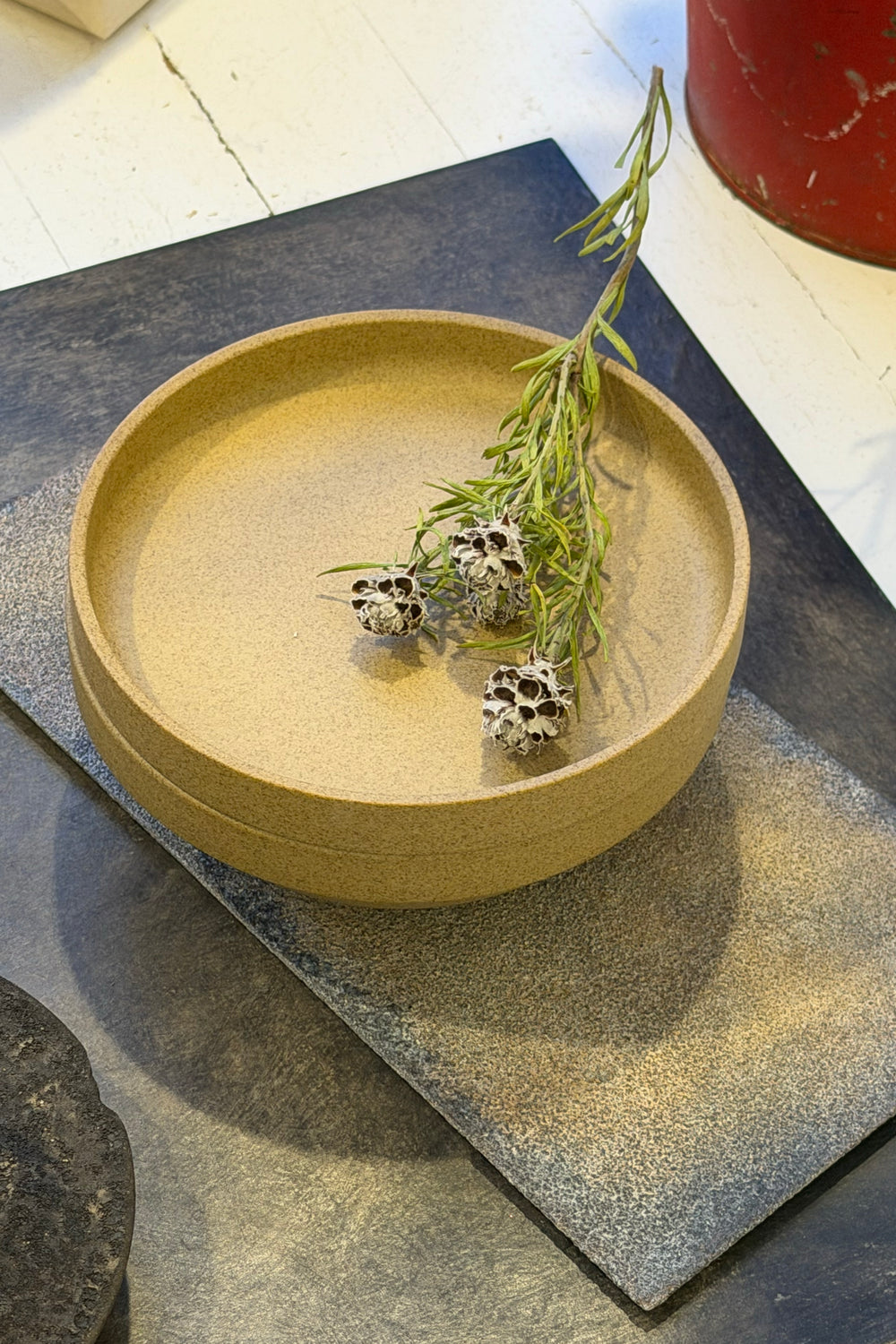 Porcelain Plate, Natural 5 5/8" x 7/8"