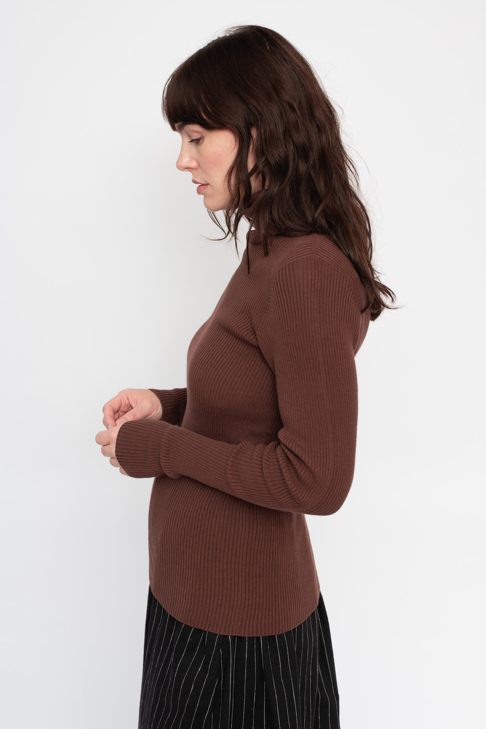 Wholegarment Rib Knit Cotton Turtleneck Brown