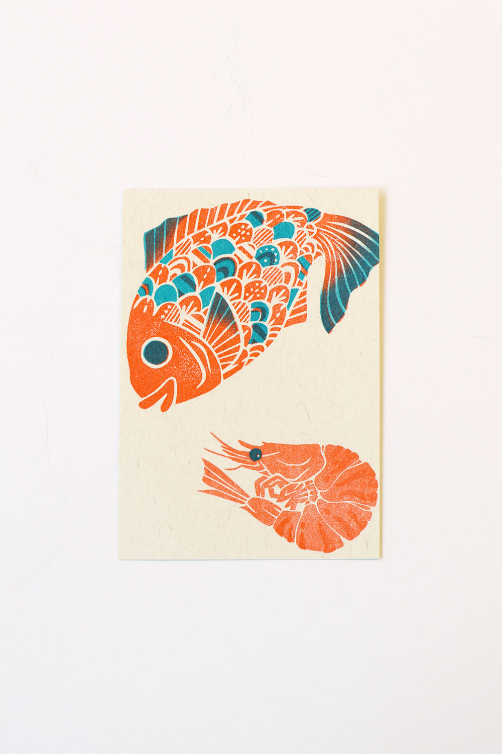 Koi and Shrimp