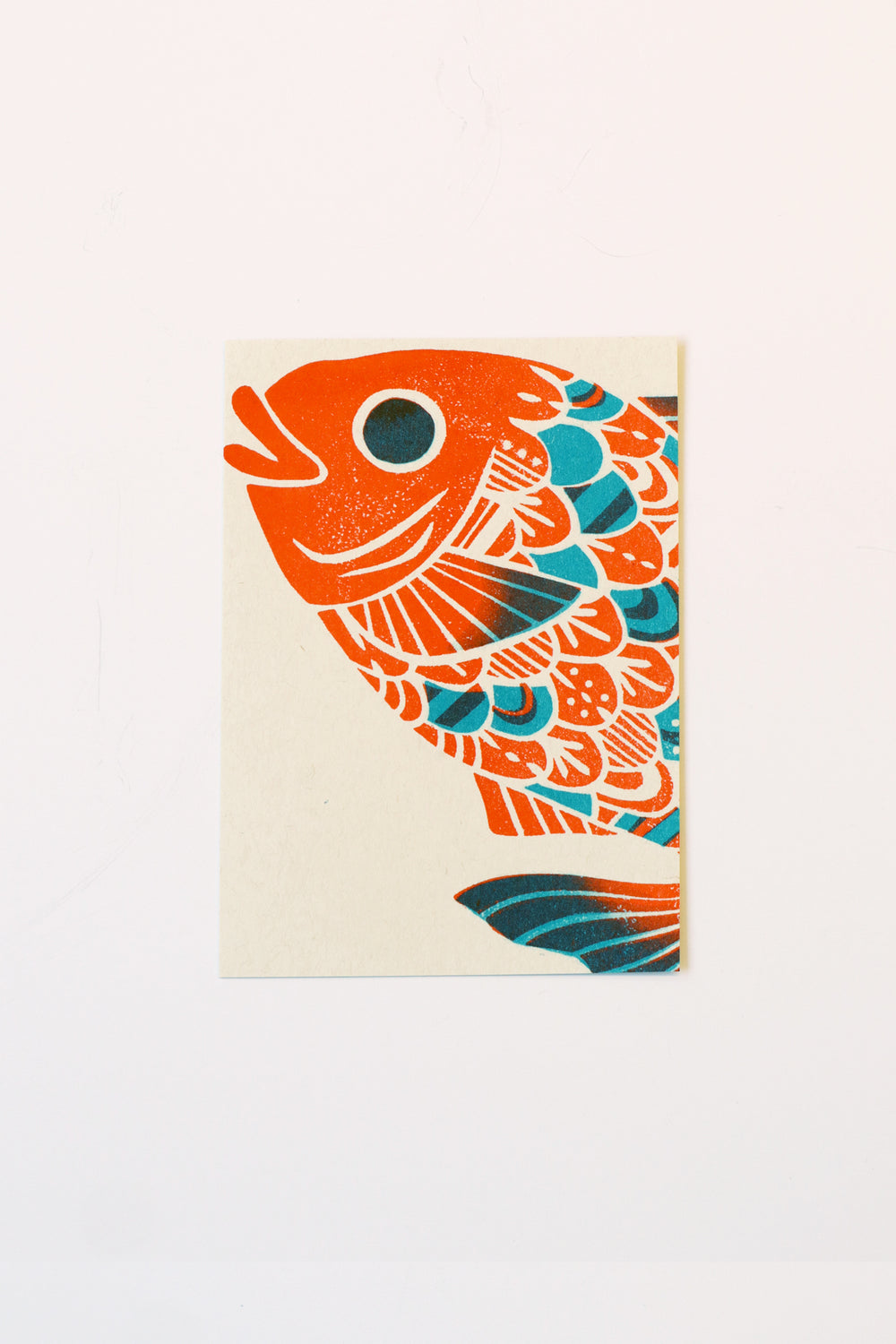 Koi