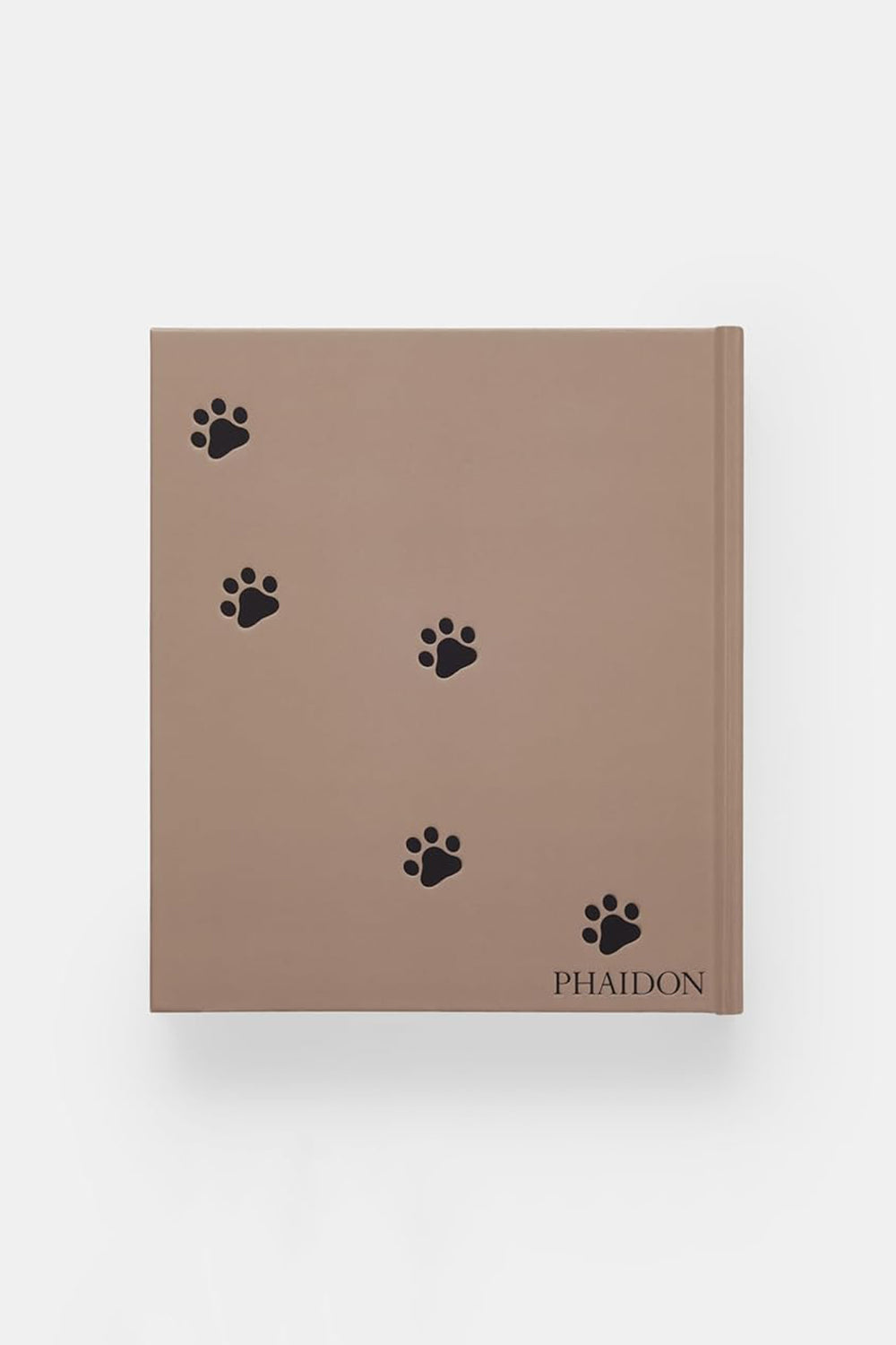 Cat by Phaidon Press