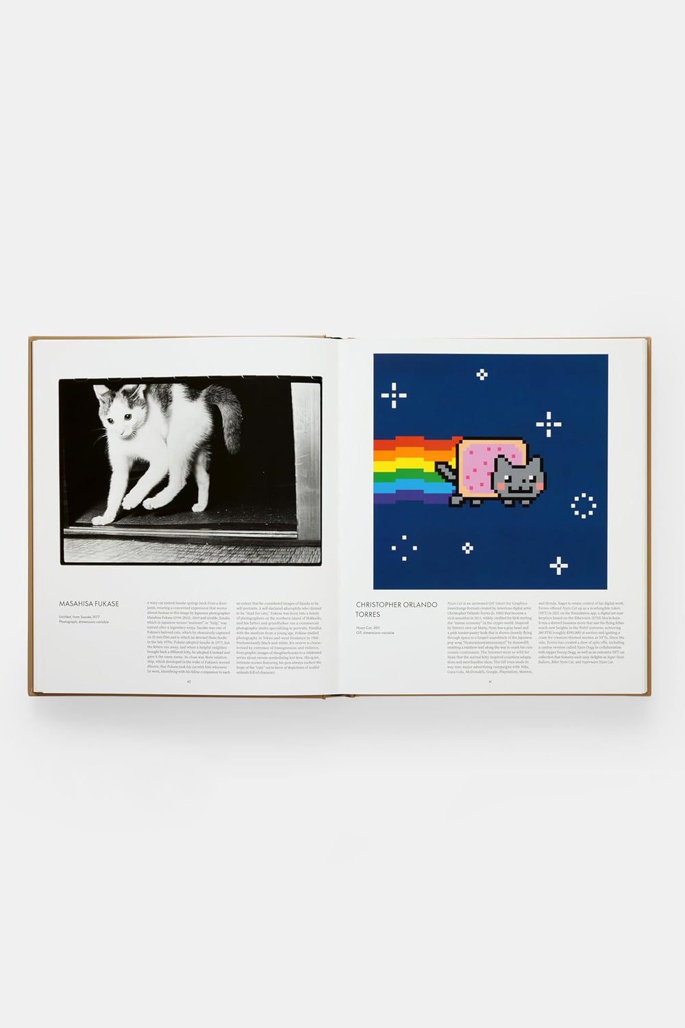 Cat by Phaidon Press
