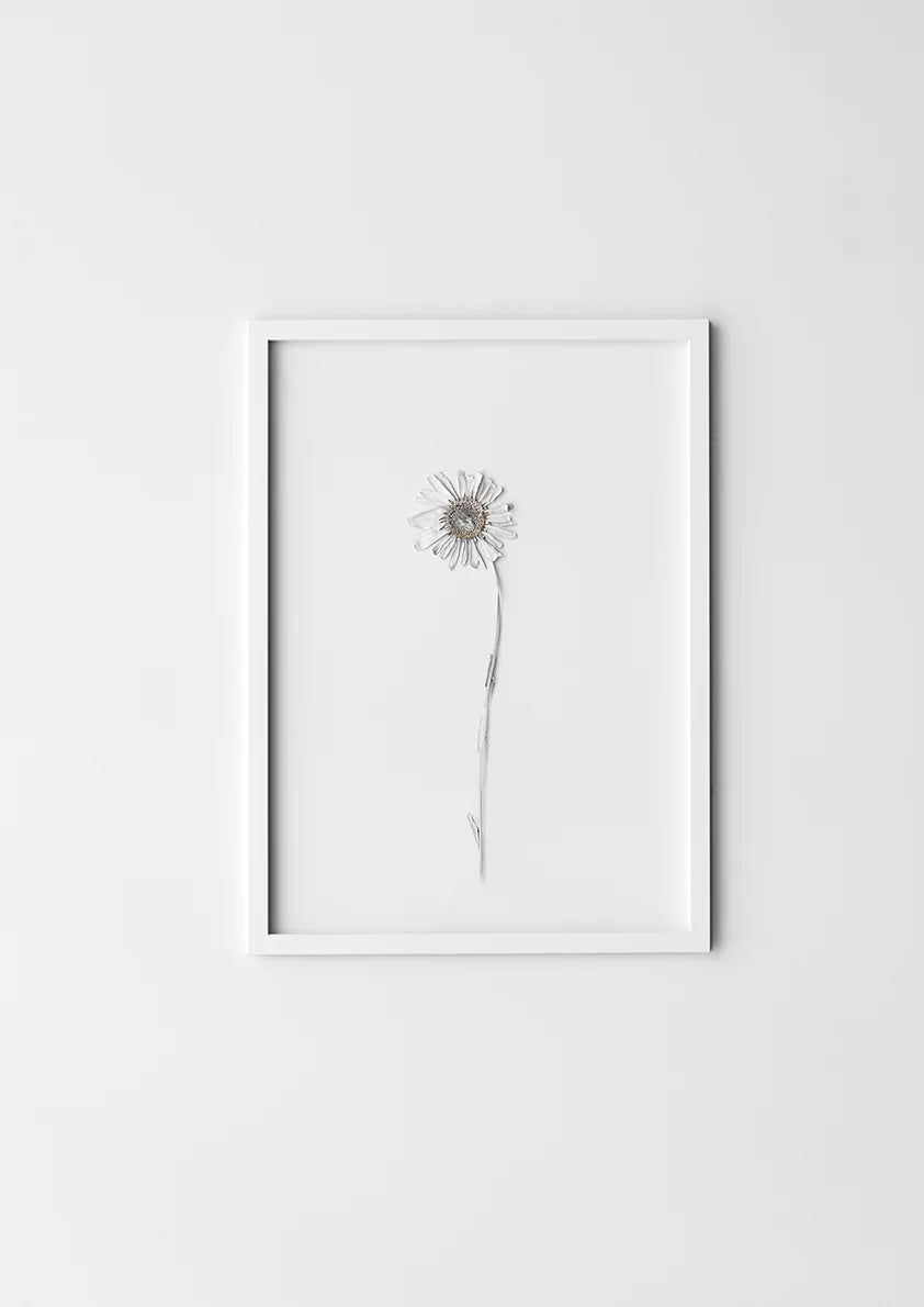 Moebe Frame, White A4