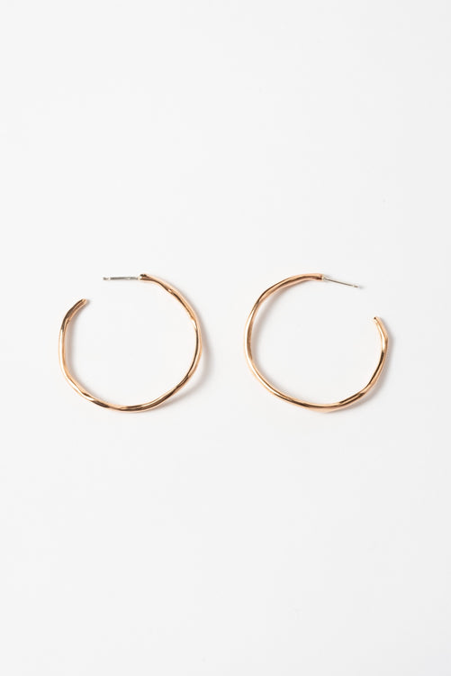 Pistilli Bronze Earrings Medium – Moth