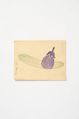 Vintage Japanese Child's Watercolors mid 20th century, Set of 12