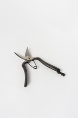 Pruning Shears