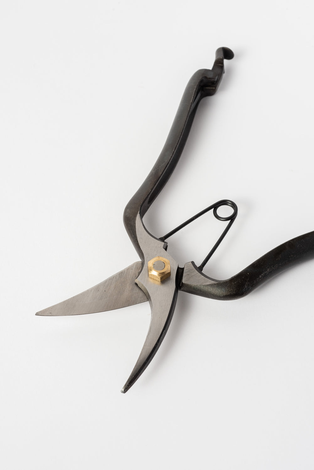 Pruning Shears
