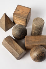 Set of Vintage Japanese Wooden Geometric Blocks