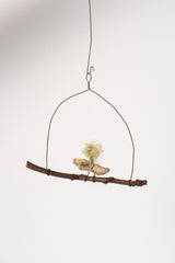 Small Bird on a Wire