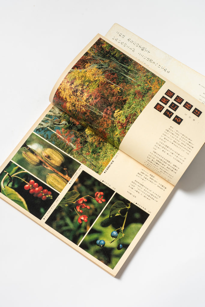 Vintage Japanese Kurashi no Techō Magazine No. 38 | September–October 1975 Lifestyle & Craft Magazine