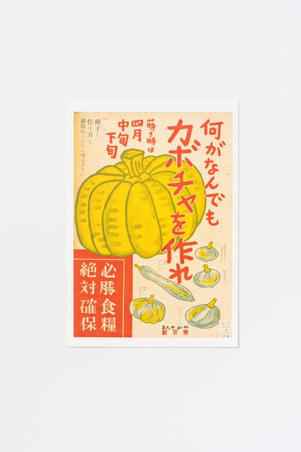 Kabocha Squash Advertisement Post Card
