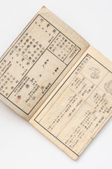 Antique Japanese Mineralogy Textbook — 1883