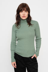 Wholegarment Rib Knit Cotton Turtleneck Green