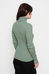 Wholegarment Rib Knit Cotton Turtleneck Green