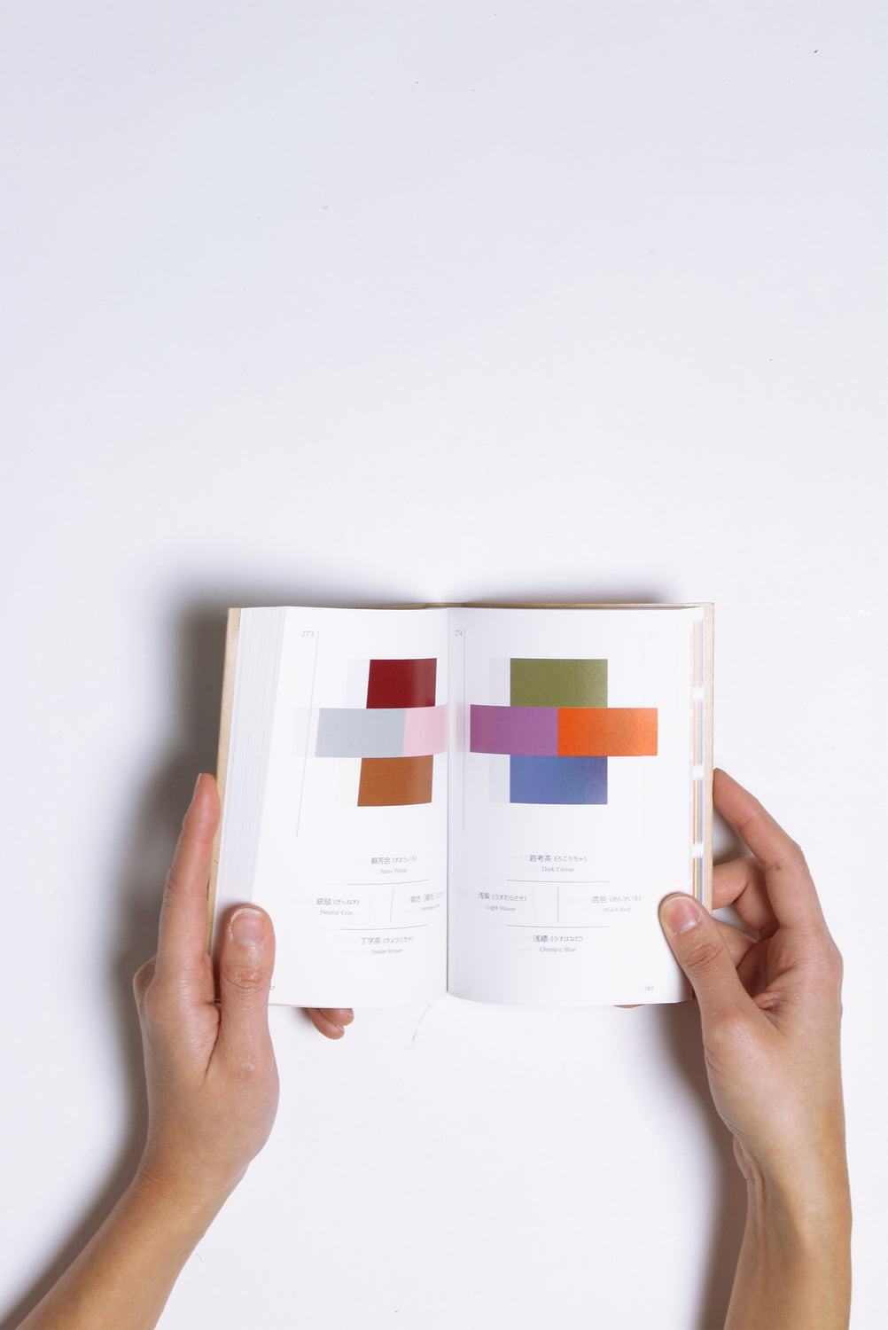 A Dictionary of Color Combinations Volume 1 – Moth